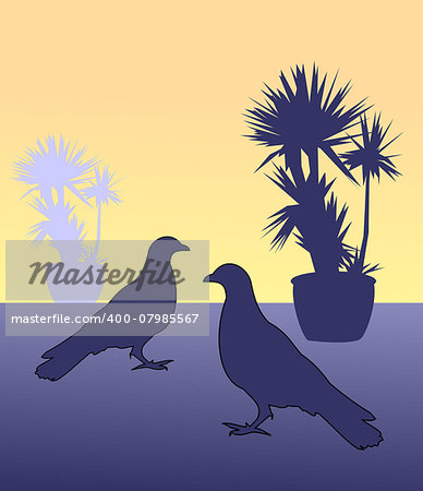 Silhouettes of two birds and two flowerpots with cactus.