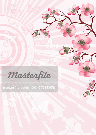 cherry blossom branch for your design