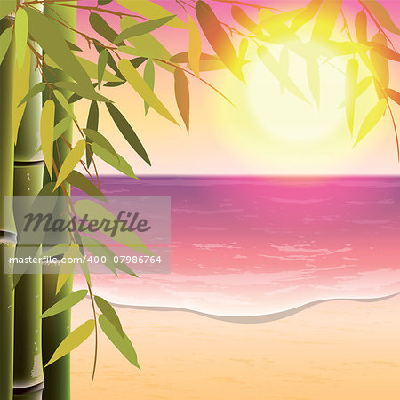 Bamboo trees and leaves on the sand beach background at sunset time. Vector illustration.