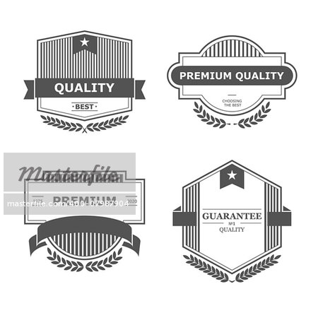 Set of retro vintage badges and labels. Vector design elements