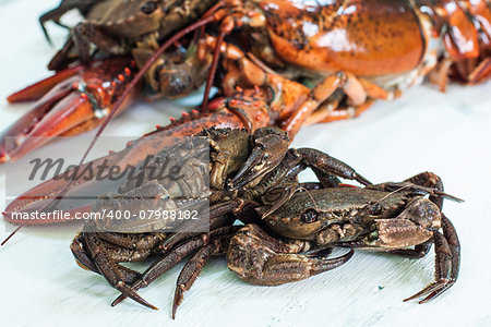 fresh and raw crabs and lobster on white plate