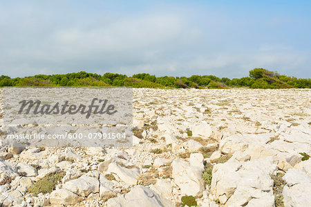 Countryside near Coast, La Couronne, Martigues, Cote Bleue, Bouches-du-Rhone, Provence-Alpes-Cote d'Azur, France