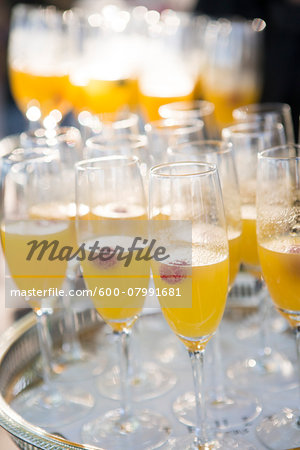 Close-up of Tray of Mimosas at Wedding Reception Close-up of Tray of Mimosas at Wedding Reception