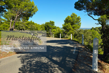 Country Road in Summer, Malaucene, Mount Ventoux, Provence, Vaucluse, France