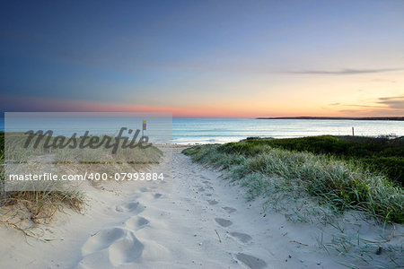 The sound of the waves and rustling leaves along the sandy beach trail at sundown.  Last light Greenhills Beach, Australia