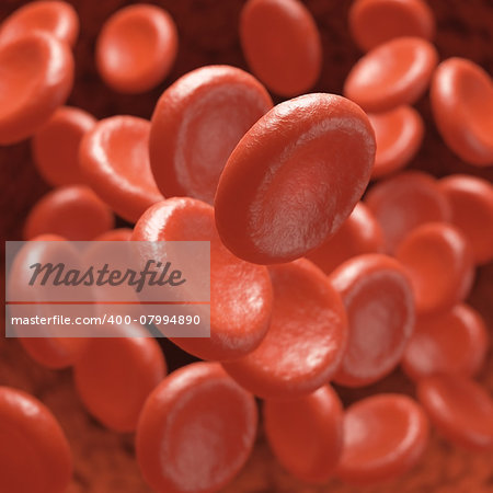 Red blood cells moving in blood vessels with depth of field.