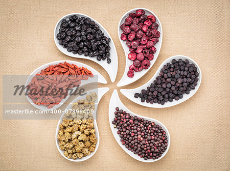 dried superfruit collection - goji berry, white mulberry, blueberry, aronia, elderberry and cheery in teardrop shaped bowls