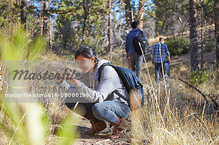Young female hiker photographing on smartphone in forest, Los Angeles, California, USA