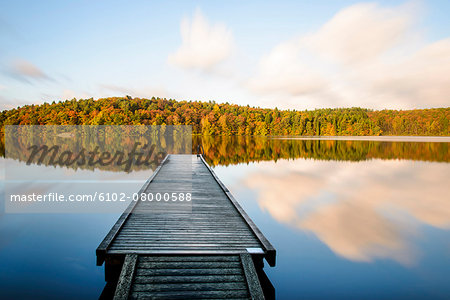 Autumn forest reflecting in lake