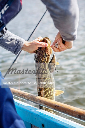 Man holding caught fish