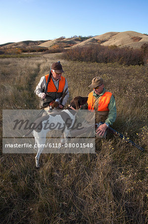 Two men, bird hunters, with shotguns, carrying the day's bag of dead birds, and a spaniel dog.