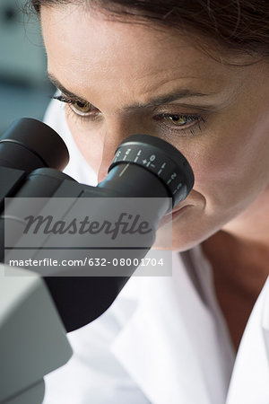 Scientist using microscope in laboratory, close-up