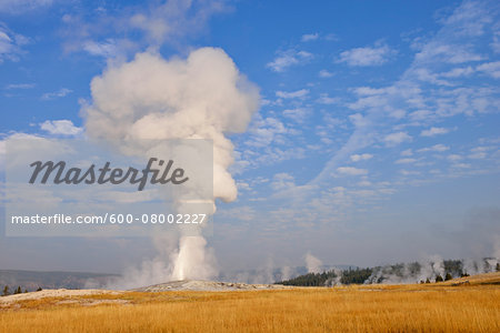 Old Faithful Geyser Erupting, Upper Geyser Basin, Yellowstone National Park, Teton County, Wyoming, USA