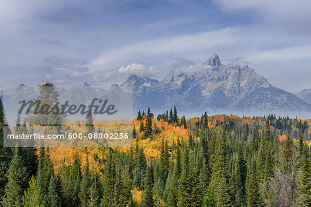Teton Range with Grand Teton and Trees in Autumn Foliage in foreground, Grand Teton National Park, Wyoming, USA Teton Range with Grand Teton and Trees in Autumn Foliage in foreground, Grand Teton National Park, Wyoming, USA