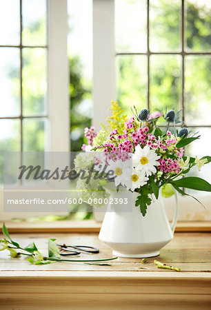 Bouquet of Fresh Cut Flowers containing Daisy, Flox, Sea Holly, Hydrangea, and Ragweed in White Pitcher Vase on Window Sill