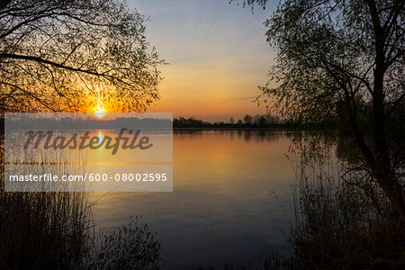 Trees and lake at Sunrise in Early Spring, Riedstadt, Hesse, Germany