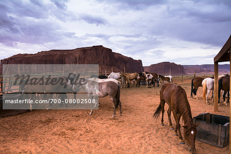 Horses on ranch with dark, cloudy sky, Monument Valley, Arizona, USA