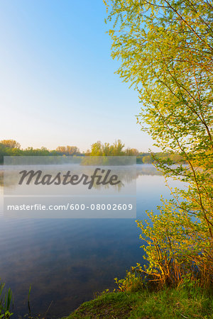 Lake with mist and Trees in Early Morning Light, Early Spring, Hanau, Erlensee, Germany