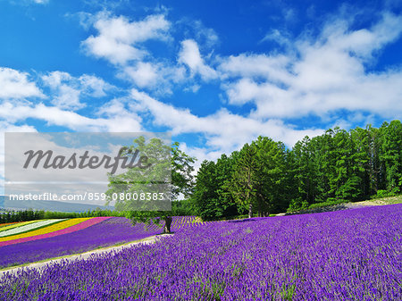 Hokkaido, Japan