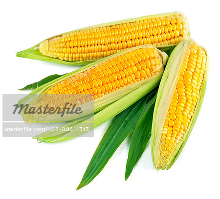 Fresh corn with green leaf. Isolated on white background