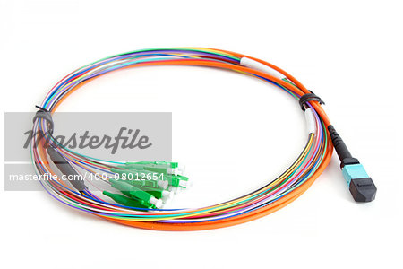 Ribbon fiber optic fun out patchcord with connector MTP isolated on white background