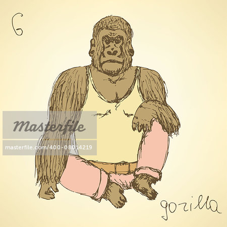 Sketch fancy gorilla in vintage style, vector