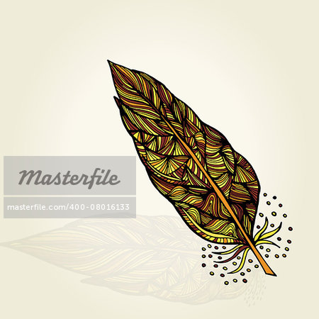 Vector illustration of Decorative feathers. Hand drawn vector illustration