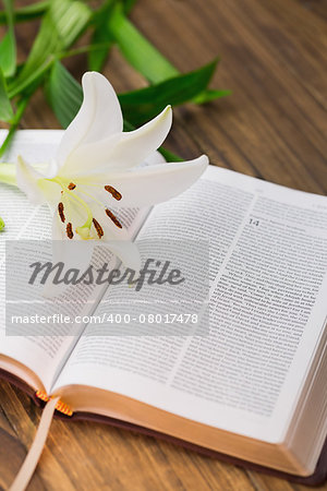 Lily flower resting on open bible on wooden table