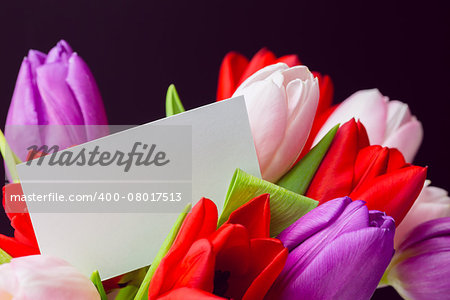 Bunch of tulips and white card on black background