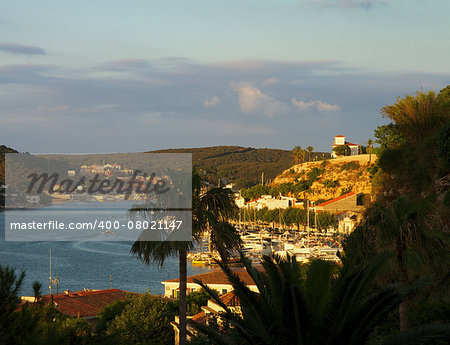 View on Mahon Harbor and Port through Palm Trees, Menorca, Balearic Islands