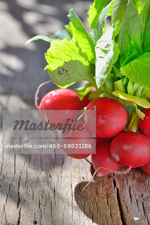 bunch of fresh radish on wood