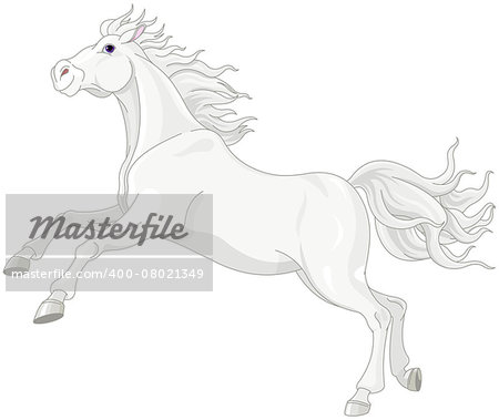 Illustration of beautiful white horse