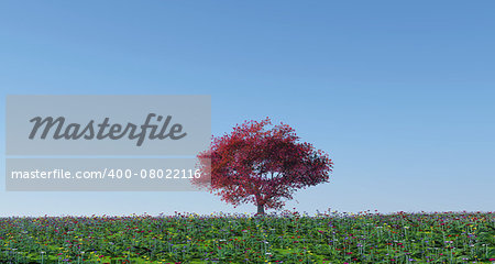 3d render of a maple tree in a poppy landscape