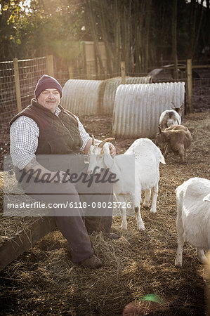 A farmer in a waistcoat and working clothes seated on a haybale, patting a white goat.