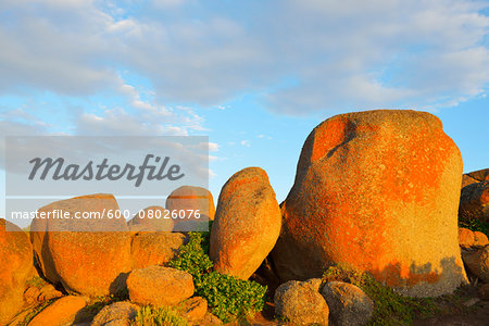 Weathered Granite Rocks, Granite Island, Victor Harbor, South Australia, Australia