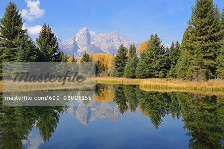 Schwabacher Landing with Teton mountain range in background, autumn, Snake River, Jackson Hole, Grand Teton National Park, Wyoming, USA Schwabacher Landing with Teton mountain range in background, autumn, Snake River, Jackson Hole, Grand Teton National Park, Wyoming, USA