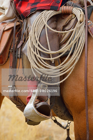 Close-up of Cowboy Riding Horse with Foot in Stirrup, Wyoming, USA