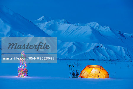A Backpacking Tent Lit Up At Twilight With A Christmas Tree Next To It Alaska Range In The Distance In Winter Isabel Pass Richardson Highway Interior Alaska; Anchorage Alaska United States Of America