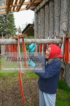 A Woman Cuts Up Dried Red Sockeye Salmon (Oncorhynchus Nerka) Into Strips At A Fish Camp On Six Mile Lake Near Nondalton;Alaska United States Of America