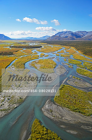 An Aerial View Of The Green Waters Of The Braided Upper Sheenjek River Which Flows South From Alaska's Brooks Range In The Arctic National Wildlife Refuge;Alaska United States Of America An Aerial View Of The Green Waters Of The Braided Upper Sheenjek River Which Flows South From Alaska's Brooks Range In The Arctic National Wildlife Refuge;Alaska United States Of America