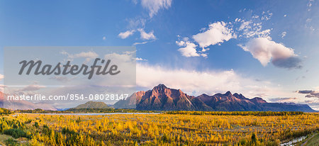 Panoramic Of Glacially Carved Matanuska River Valley Filled With The Fall Colors Of Birch And Cottonwood Trees, Pioneer Peak And The Chugach Mountains In The Background, Fall, Palmer, Southcentral Alaska, Usa.