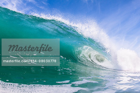 Barreling wave, California, USA