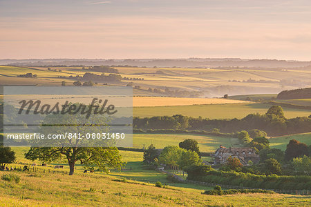 Rolling countryside and thatched cottage near Frome, Somerset, England, United Kingdom, Europe