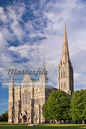 Salisbury Cathedral on a summer evening, Salisbury, Wiltshire, England, United Kingdom, Europe