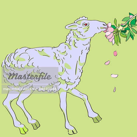 Hand drawn illustration of a sheep eating apple tree flowers, spring greetings card on a green background