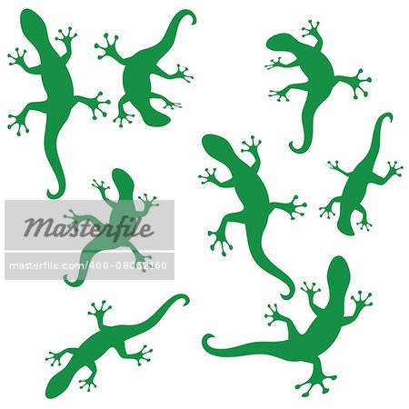 illustration  with green silhouettes of salamander on white background