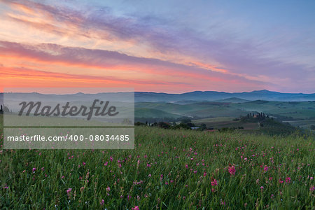 Val d'Orcia after sunrise with violet sky, Tuscany, Italy