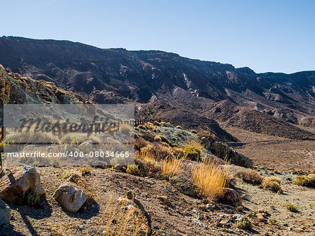 Desert landscape of Volcano Teide National Park. Tenerife, Canary Island. Spain