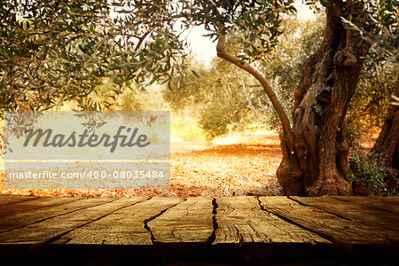 Wooden table with olive tree