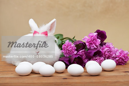 Spring simbols - white bunny waiting for easter with seasonal flowers